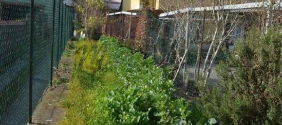 3 rooms Apartment in Camporosso, Italy No. 149531 12