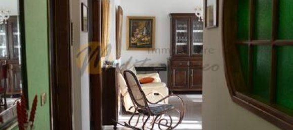 3 rooms Apartment in Camporosso, Italy No. 149531 3