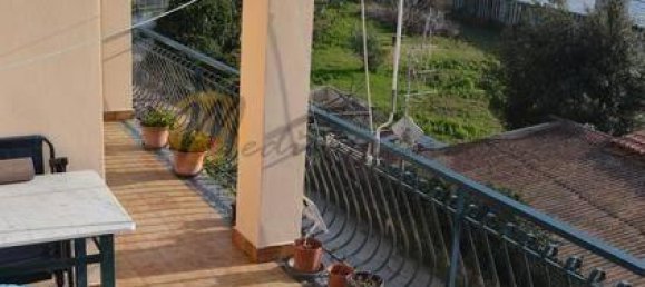 3 rooms Apartment in Camporosso, Italy No. 149531 2