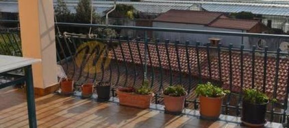 3 rooms Apartment in Camporosso, Italy No. 149531 19