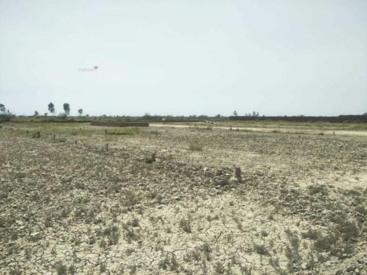 Grundstück in Noida, India, Nr. 66158