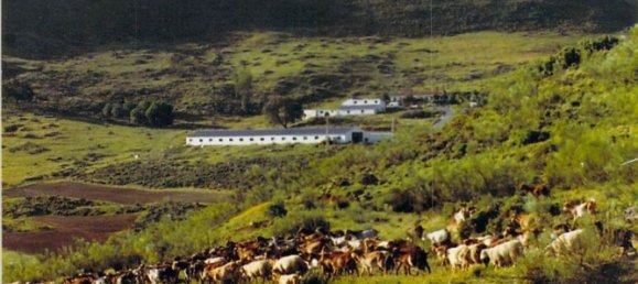  قطعة أرض في Ronda, Spain 9500000متر مربع رقم 20534 14