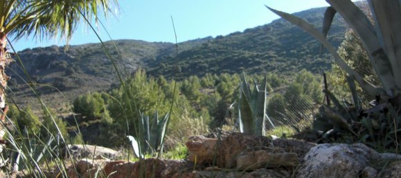  قطعة أرض في Ronda, Spain 9500000متر مربع رقم 20534 15