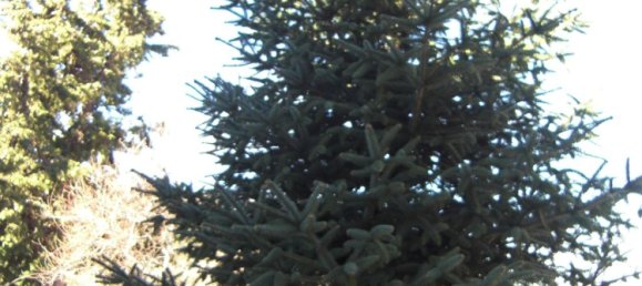  قطعة أرض في Ronda, Spain 9500000متر مربع رقم 20534 30