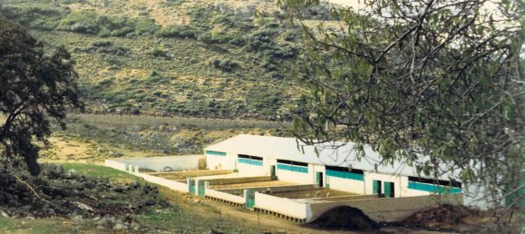  قطعة أرض في Ronda, Spain 9500000متر مربع رقم 20534 6