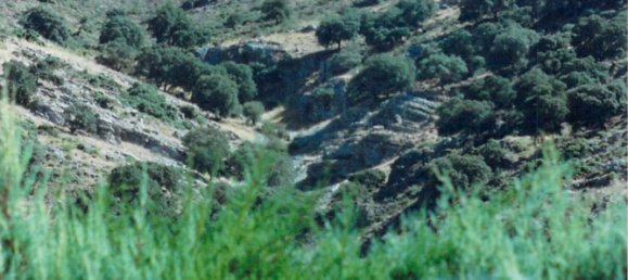  قطعة أرض في Ronda, Spain 9500000متر مربع رقم 20534 21