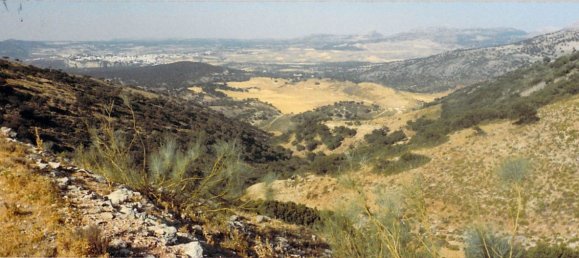  قطعة أرض في Ronda, Spain 9500000متر مربع رقم 20534 18