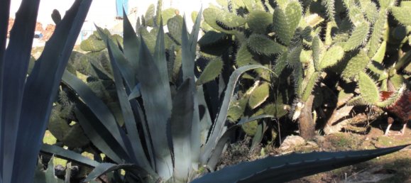  قطعة أرض في Ronda, Spain 9500000متر مربع رقم 20534 32