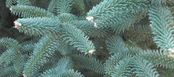  قطعة أرض في Ronda, Spain 9500000متر مربع رقم 20534 29