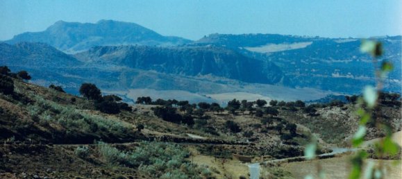  قطعة أرض في Ronda, Spain 9500000متر مربع رقم 20534 8