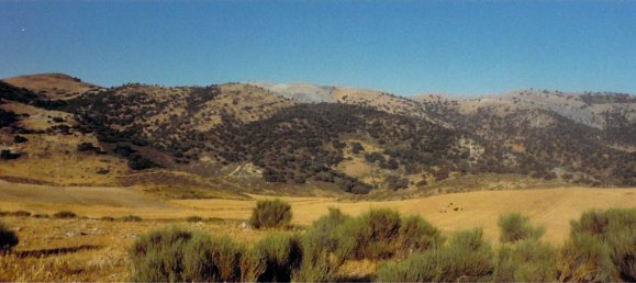  قطعة أرض في Ronda, Spain 9500000متر مربع رقم 20534 19