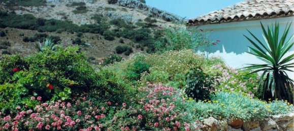  قطعة أرض في Ronda, Spain 9500000متر مربع رقم 20534 20