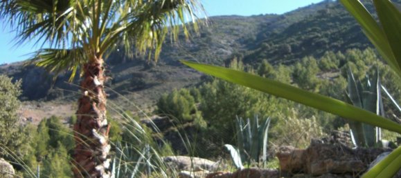  قطعة أرض في Ronda, Spain 9500000متر مربع رقم 20534 26