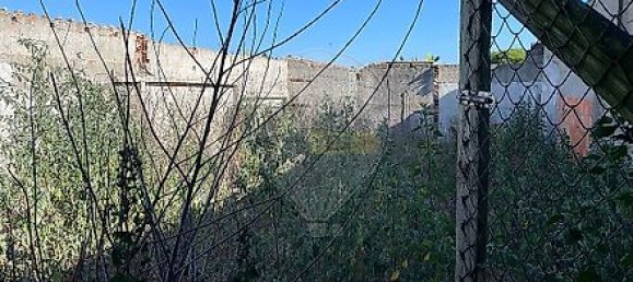 4 غرف نوم منزل في Vieira de Leiria, Portugal رقم 19869 20