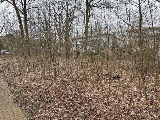  Land in Stade, Germany No. 294777