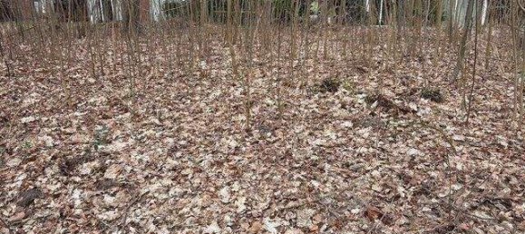  Land in Stade, Germany No. 294777 2