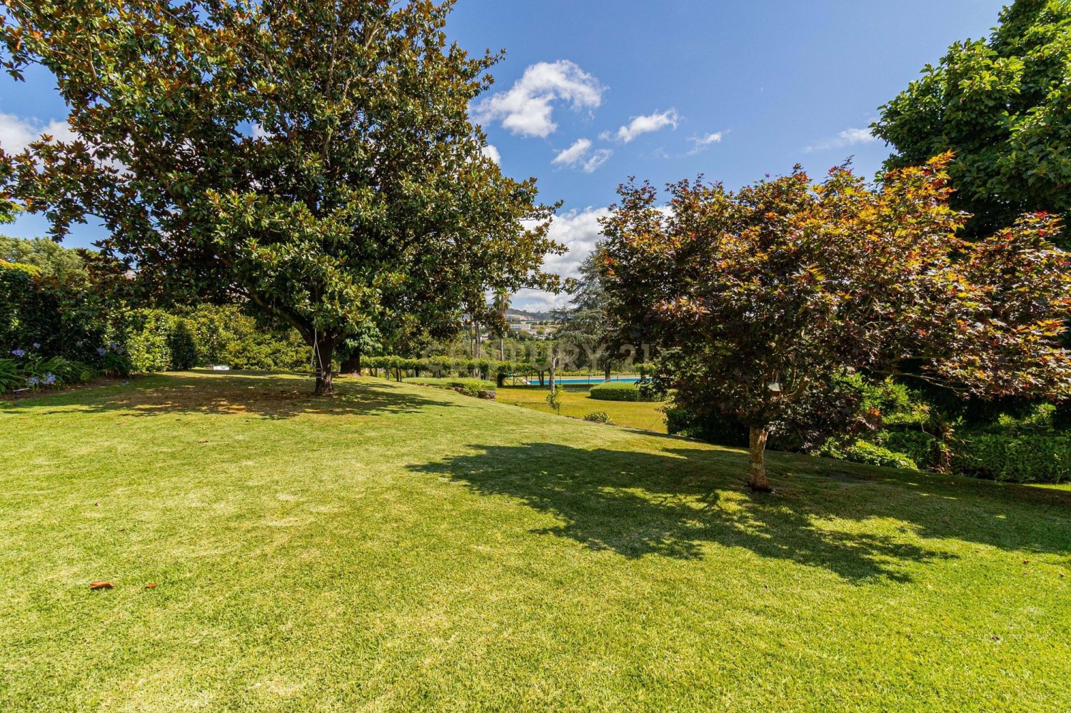 5 bedrooms Villa in Lago, Portugal No. 263566