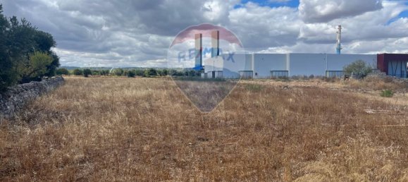 5000m² Land in Monopoli, Italy No. 265362 10