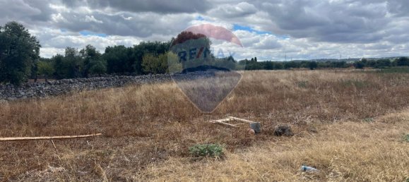 5000m² Land in Monopoli, Italy No. 265362 7