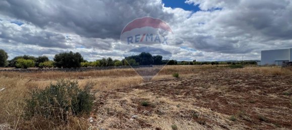 5000m² Land in Monopoli, Italy No. 265362 11