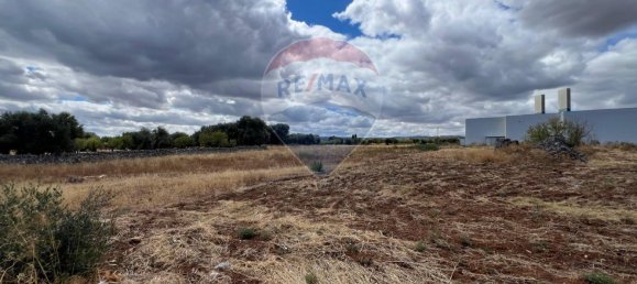 5000m² Land in Monopoli, Italy No. 265362 13