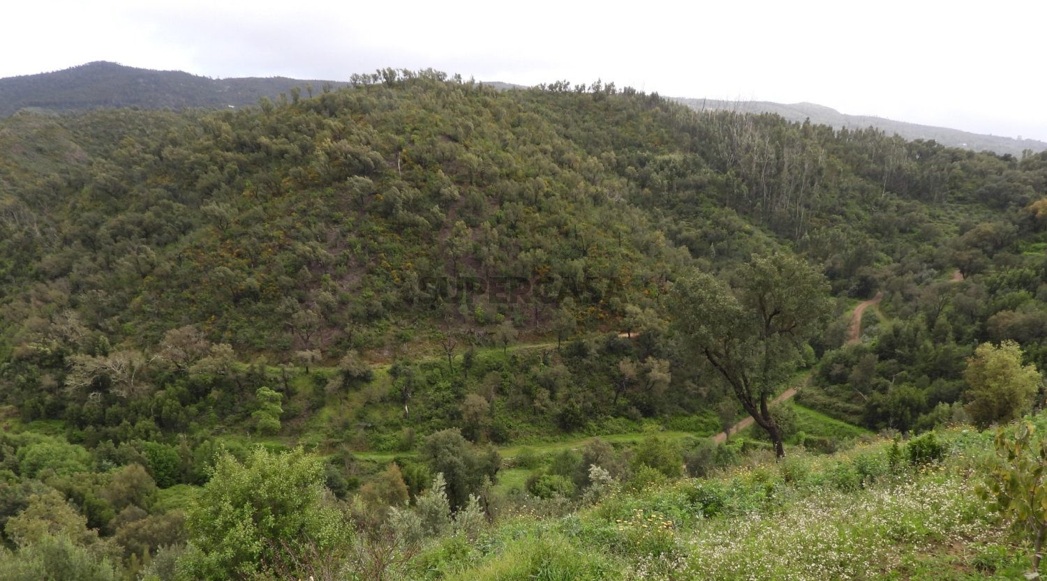  Land in Monchique, Portugal No. 334670