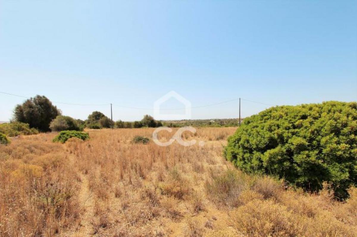 3000m² Land in Silves, Portugal No. 8661