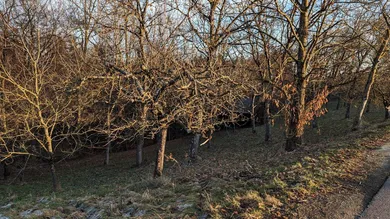 Terreno em Edelsbach bei Feldbach, Austria N.º 55178