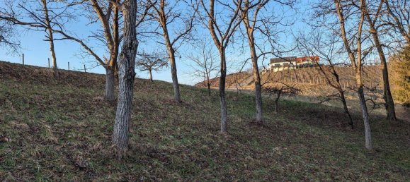 Terreno em Edelsbach bei Feldbach, Austria N.º 55178 4