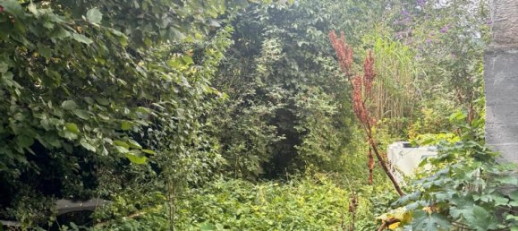 Таунхаус с 5 спальнями в Верра-Майснер, Германия № 345250 5