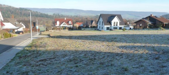 Terreno en Holzminden, Germany No. 155594 3