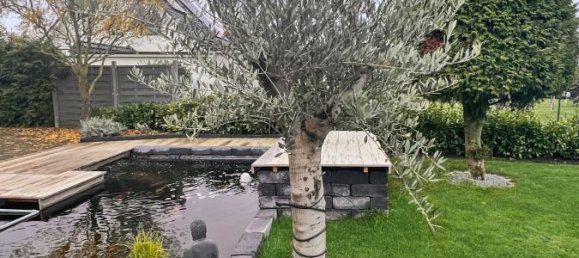 2 Schlafzimmer Haus in Nordwestmecklenburg, Germany, Nr. 161103 5