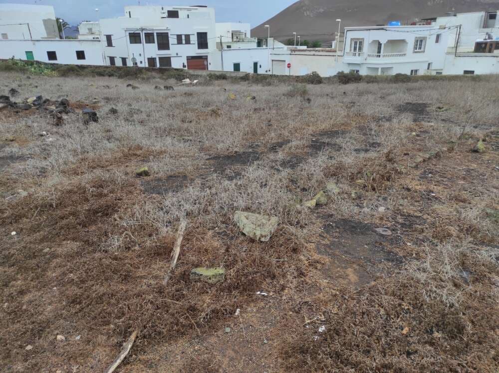 1961m² Land in San Bartolome, Spain No. 248056