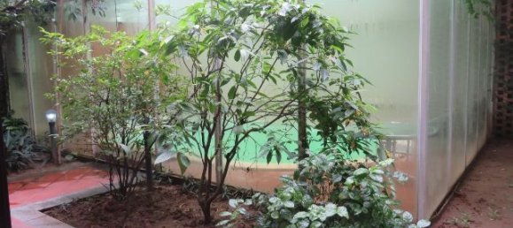 4 bedrooms Villa in Tay Ho, Vietnam No. 5352 26