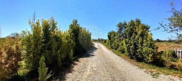 Casa T5 em Guia, Portugal N.º 30052 23