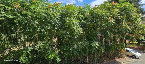 4 bedrooms Apartment in Florence, Italy No. 362771 17