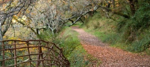  قطعة أرض في Sintra, Portugal 2696متر مربع رقم 138205 7