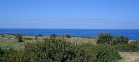 Propriedade comercial T3 em Paphos, Cyprus N.º 9653 3