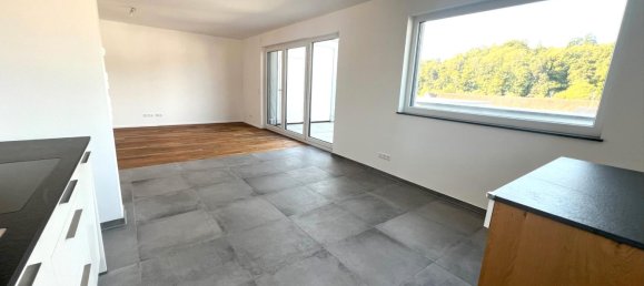 Пентхаус с 1 спальней в Альб-Дунай, Германия № 346661 6