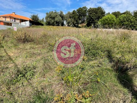 Terrain à Sangalhos, Portugal 1740m² No. 76489