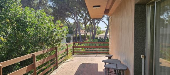 6 chambres Maison à Palma de Majorca, Spain No. 152631 2