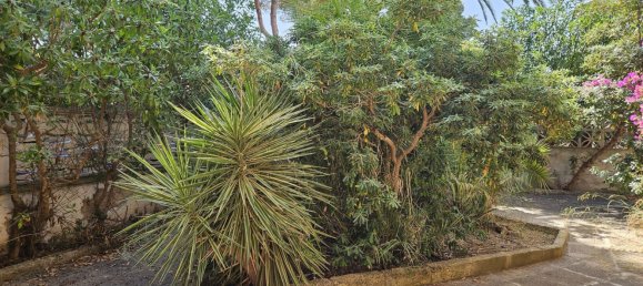 6 chambres Maison à Palma de Majorca, Spain No. 152631 13