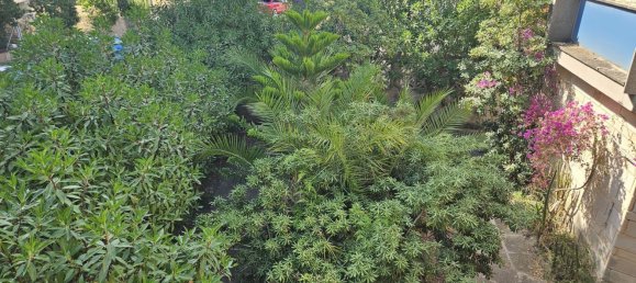 6 chambres Maison à Palma de Majorca, Spain No. 152631 8