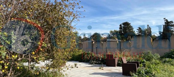 5 rooms House in Trapani, Italy No. 47663 13