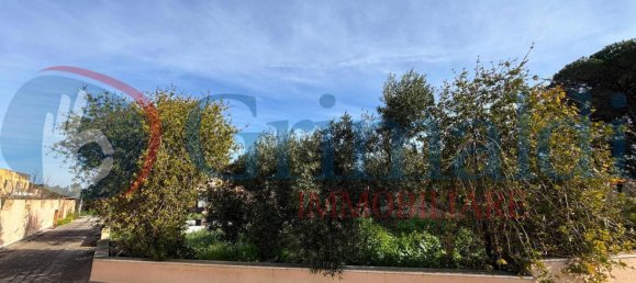 5 rooms House in Trapani, Italy No. 47663 9