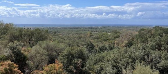 3 rooms Villa in Manduria, Italy No. 104471 25