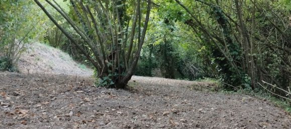 2 chambres Appartement à Olevano sul Tusciano, Italy No. 319322 4