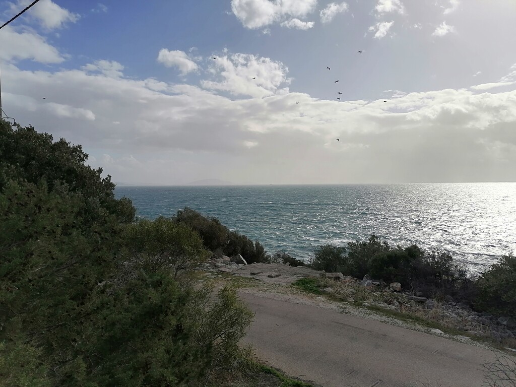  قطعة أرض في Marathon, Greece 1187متر مربع رقم 94435