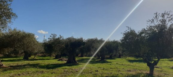 Grundstück in Matera, Italy, Nr. 345073 2