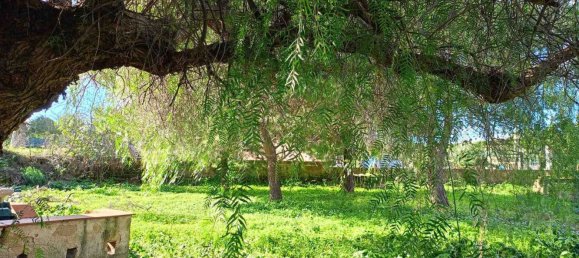 3غرفة فيلا في Syracuse, Italy رقم 250056 3